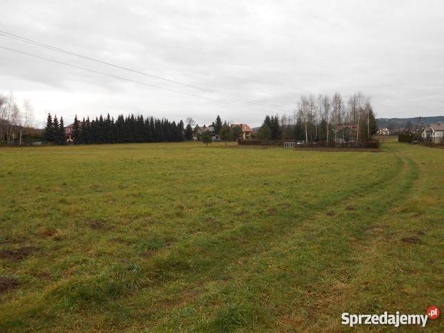DZIAŁKI ZAKLICZYN nD CENTRUM Grunty i działki sprzedam