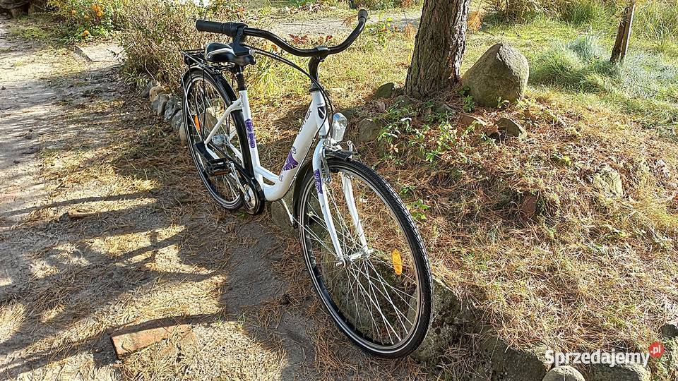 Rower Miejski Damski Vortex City 200 Łabędź Niska Rama 28 Wołów