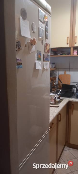 Lodówka ELEKTROLUX 180 x 60 x 60 używana Lodówki i zamrażarki Warszawa