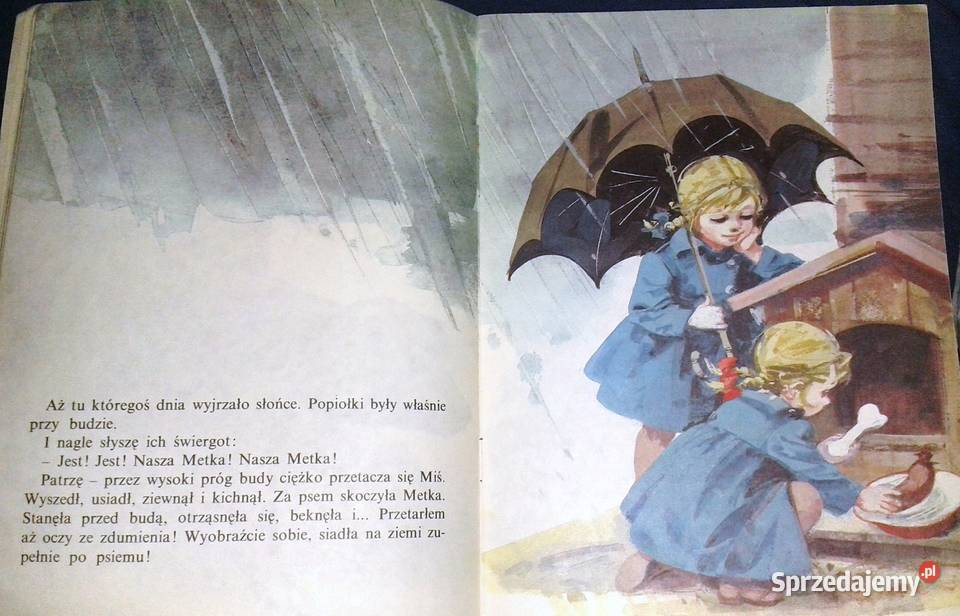 Czarna owieczka Jan Grabowski lubelskie Chełm sprzedam