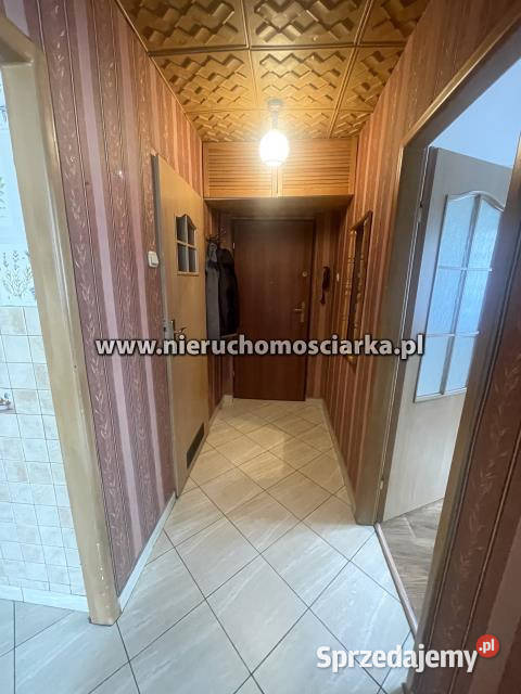 sprzedaży mieszkania 353m2 2 pokoje Wodzisław Sprzedaż Wodzisław Śląski