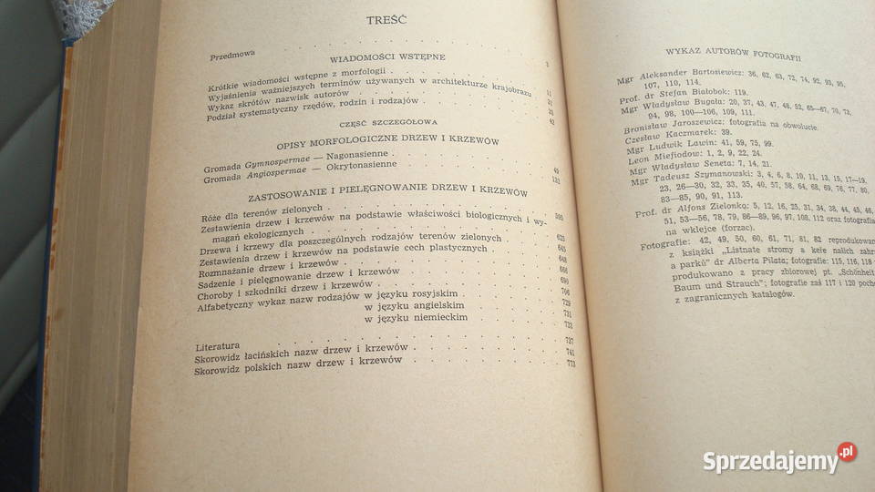 Drzewoznawstwo Białobok js kujawsko-pomorskie Kruszwica