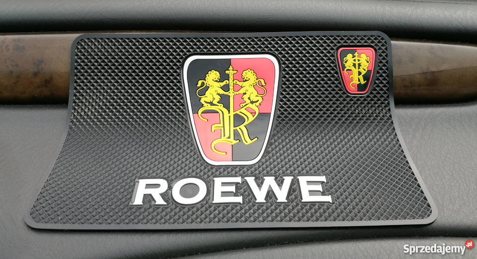 Rover podkładka antypoślizgowa wielkopolskie Poznań