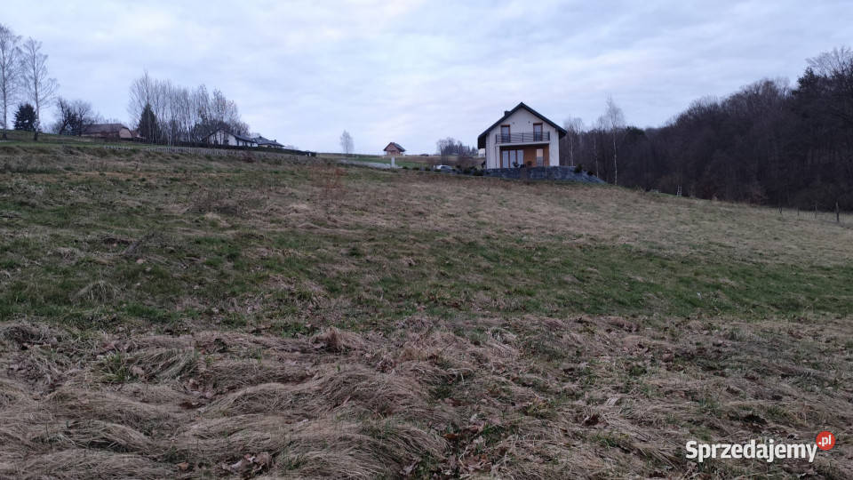 Błędowa Tyczyńska działka 25 AR z WZ uzbrojona