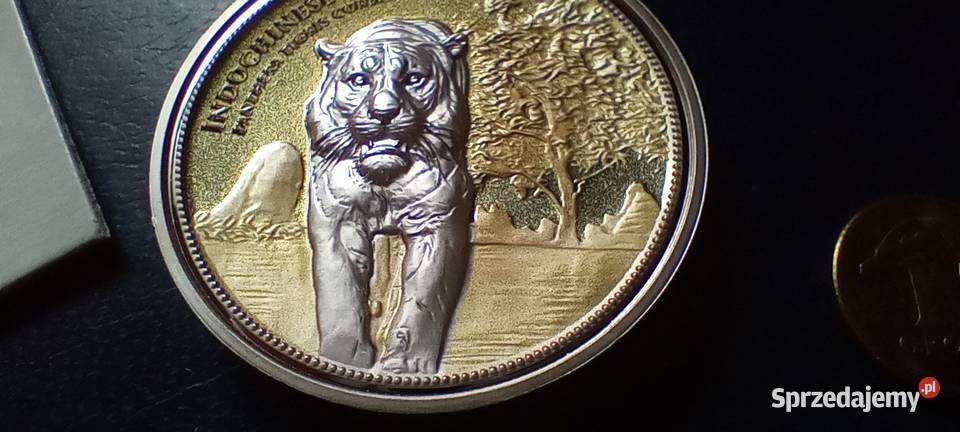 Stare monety Medal 234 Lesko