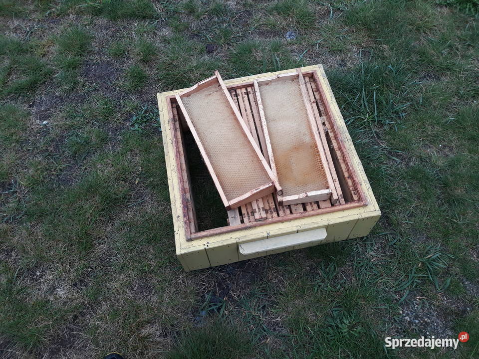 Susz pszczeli ramka hofmanowska12 Dadanta Klucze sprzedam