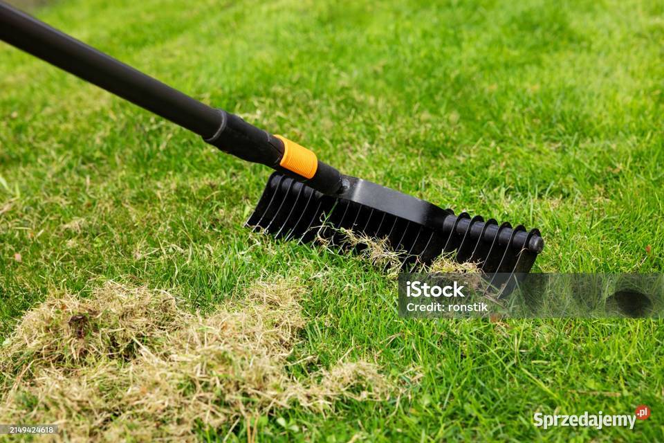 Usługa koszenia trawnika i prac porządkowych w pomorskie