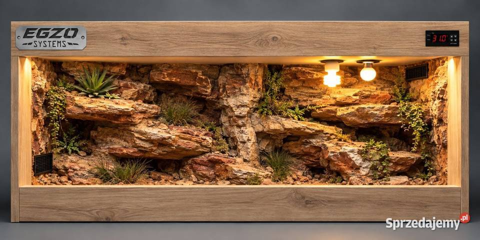 Terrarium gekona lamparciego agamy brodatej pomorskie