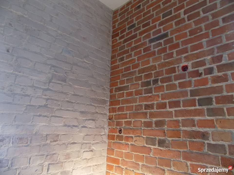 Płytki ze starej cegły płytki ceglane stara Łódź