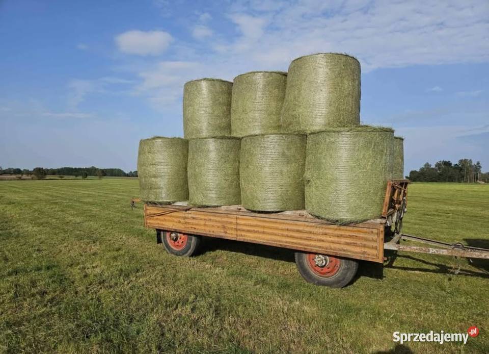 Przyczepa 6T Mońki sprzedam