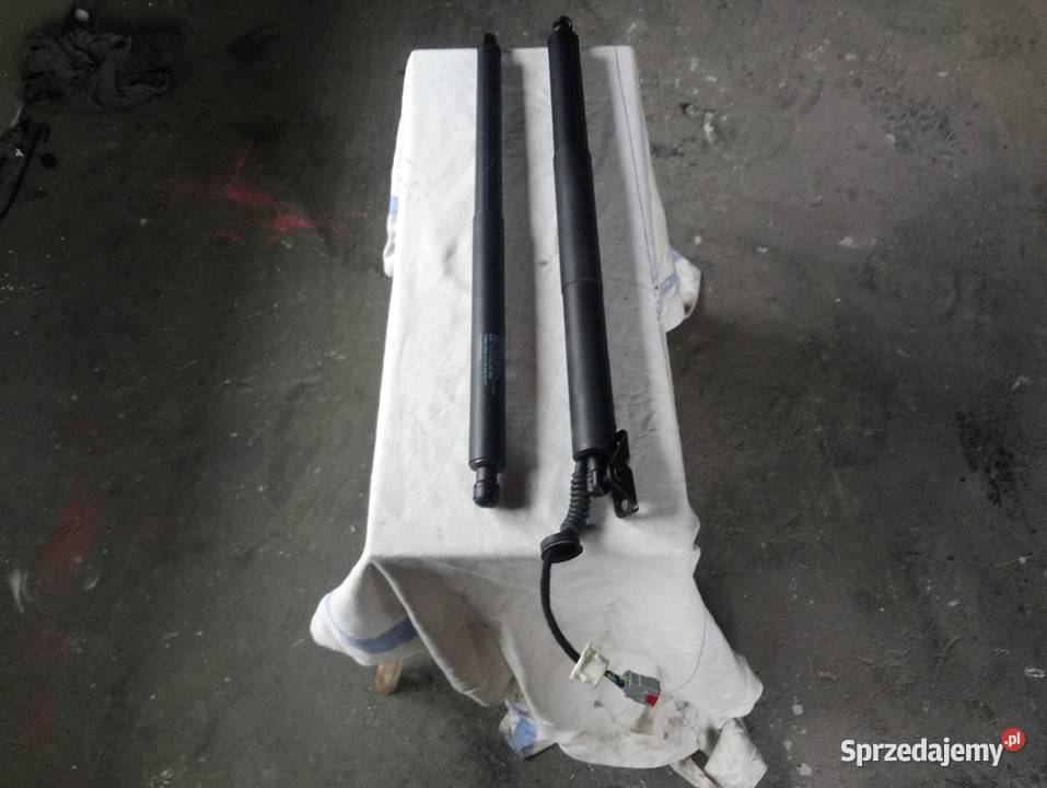 Ford Edge mk2 18r elektr siłowkini tylnej klapy Siepraw