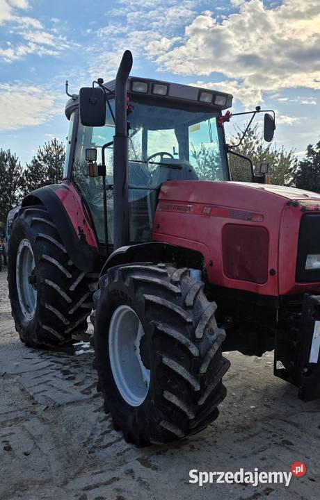 Massey Ferguson 8220 Czernięcin Główny