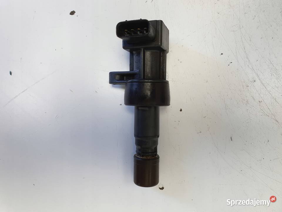 CEWKA ZAPŁONOWA Jaguar XType 21 V6 1X4312029AB osobowe Rudka