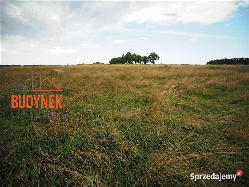 Działka rolna Rusinowo zachodniopomorskie