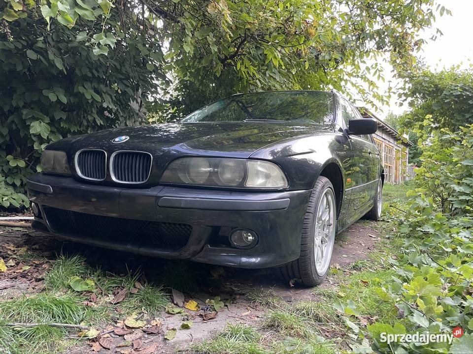 Bmw 530d manual e39 touring Wola Wiśniowa