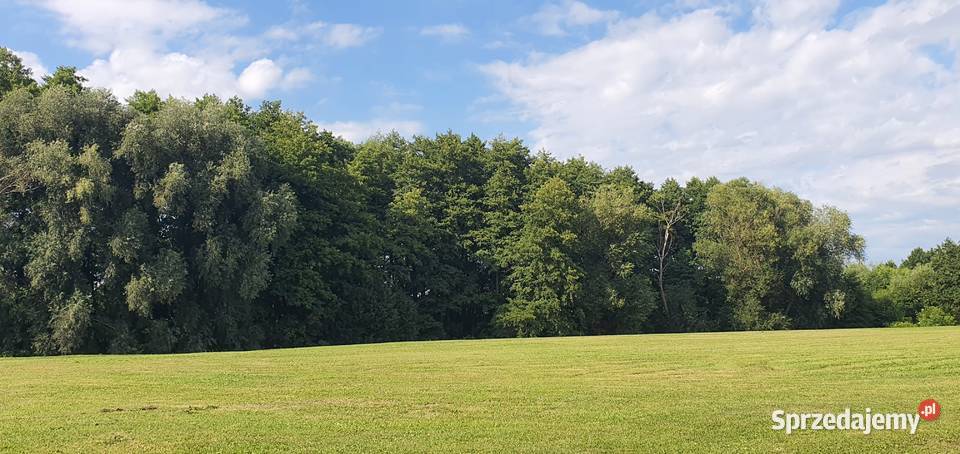 Działki 14002500m2 Woda Miejska Energia Sprzedaż Długołęka sprzedam