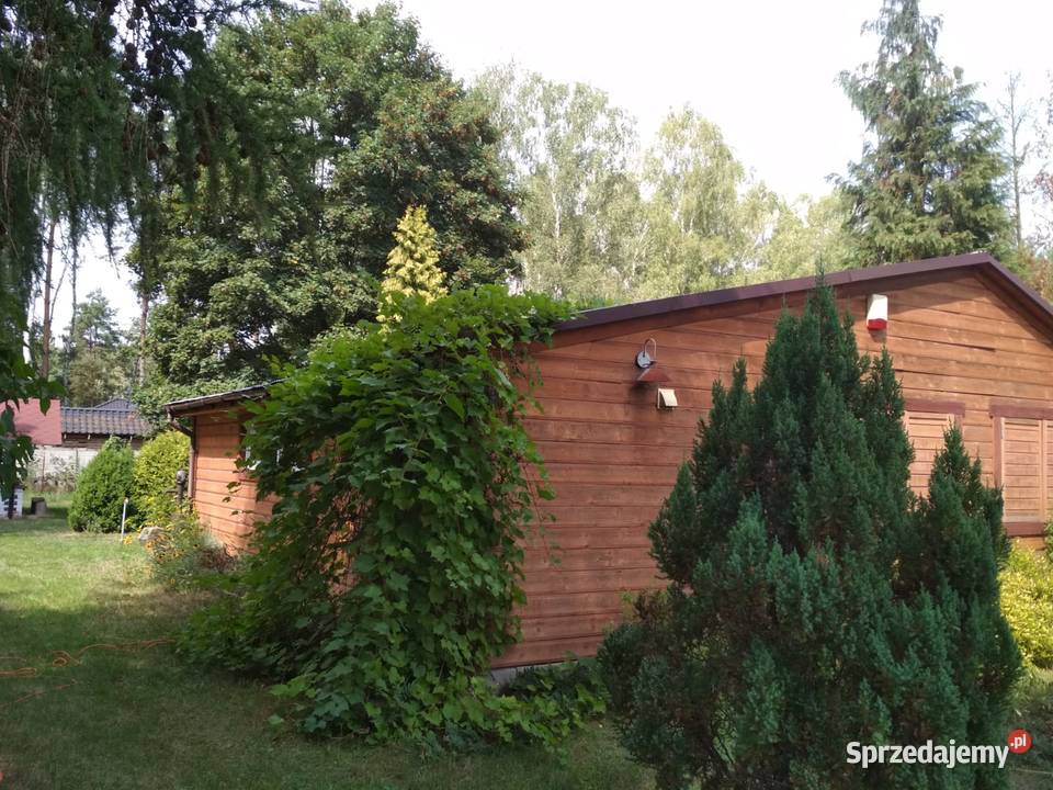 Działka z domkiem w Słowaku 177zł/m2 Grunty i działki Słowak sprzedam