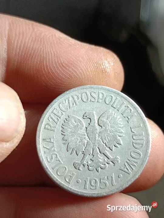 Sprzedam monete 50 groszy 1957 zzz Numizmatyka Chełm