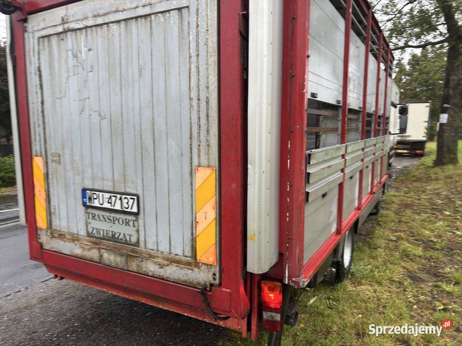 Mercedes Atego 2000 1KM Samochody dostawcze wielkopolskie Sobiesiernie