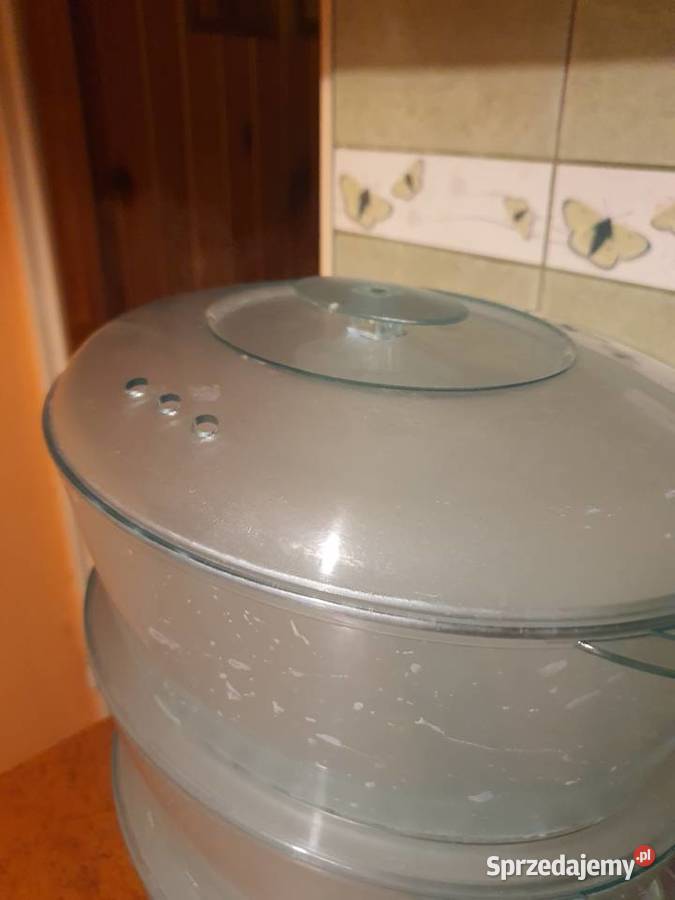 Parowar EVOLT EK629 sprawny