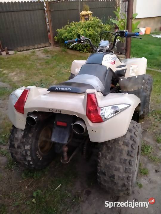 Quad duża rama silnik m175n4 1cm3 Woźniki