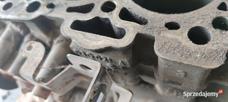 BLOK SILNIKA AUDI A4 B7 A6 C6 20 TDI BLB 03G021A śląskie Przystajń