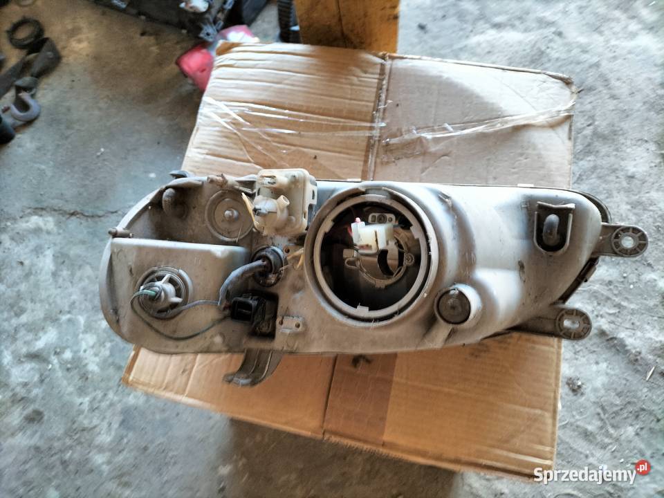 KIA CARNIVAL LAMPA PRZÓD PRAWY PRAWA Kamień-Kolonia