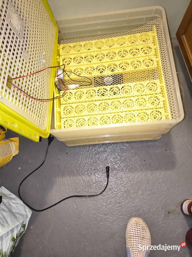 Sprzedam klujnik lubuskie Krosno Odrzańskie