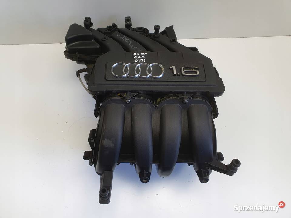 Audi A3 II 8P 16 8V KOLEKTOR SSĄCY 06A133203DL lubelskie Janów