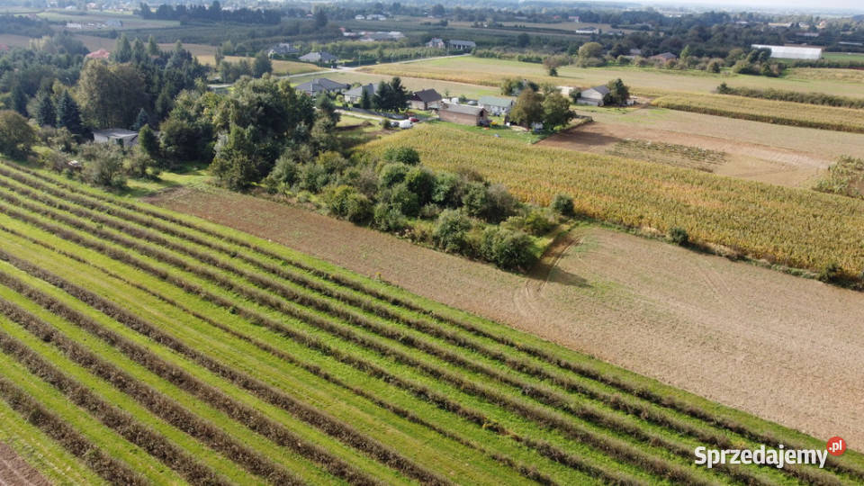 Działka Motycz 13 ar budownictwo jednorodzinne