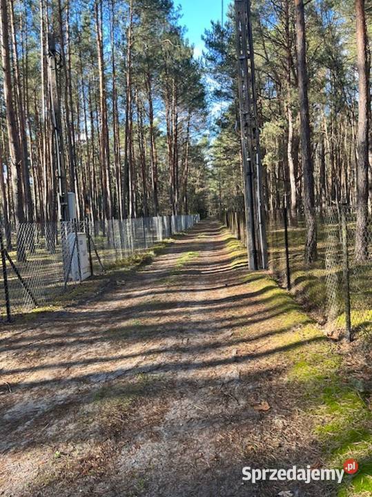 Syndyk sprzeda udział 12 w działce w Nowym