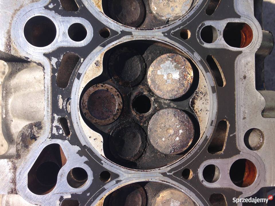 Głowica VW skoda seat audi a4 b6 2001r 20 ALT osobowe Kołobrzeg
