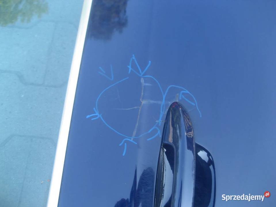 vw passat b6 0510r drzwi przód prawe kod LA5E Rakoniewice