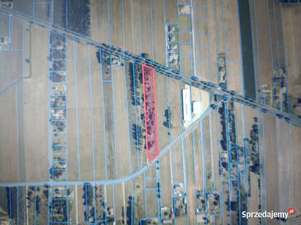 Działka przemysłowa inwestycyjna 8566 m2 Kuciny Sprzedaż łódzkie