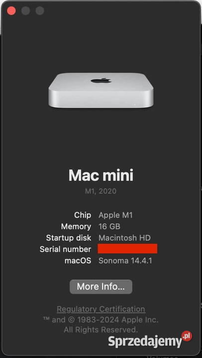 Apple Mac Mini M1 2020 16 GB RAM 1 TB SSD Przemyśl