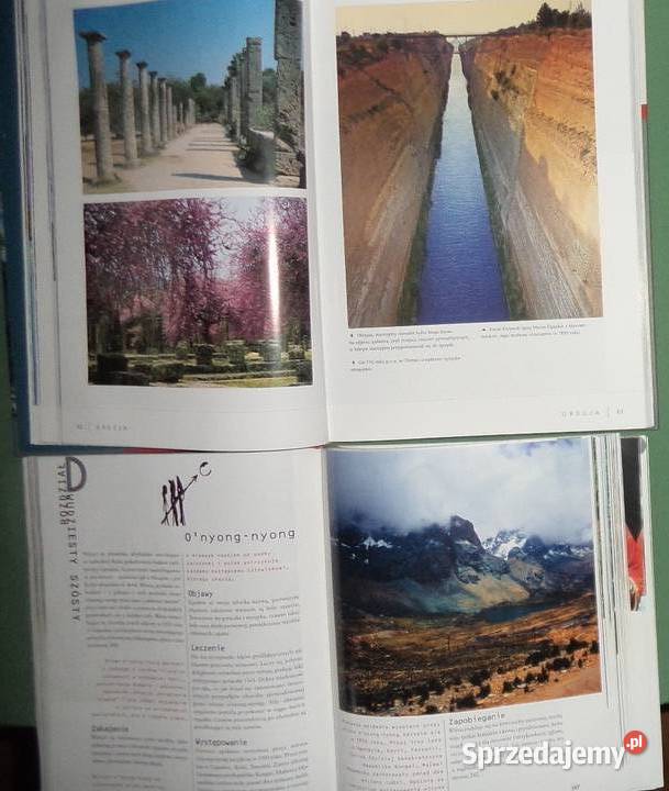 Pawlikowska Beata Poradnik Globtroteraalbum do Rok wydania 2007 podkarpackie Rzeszów