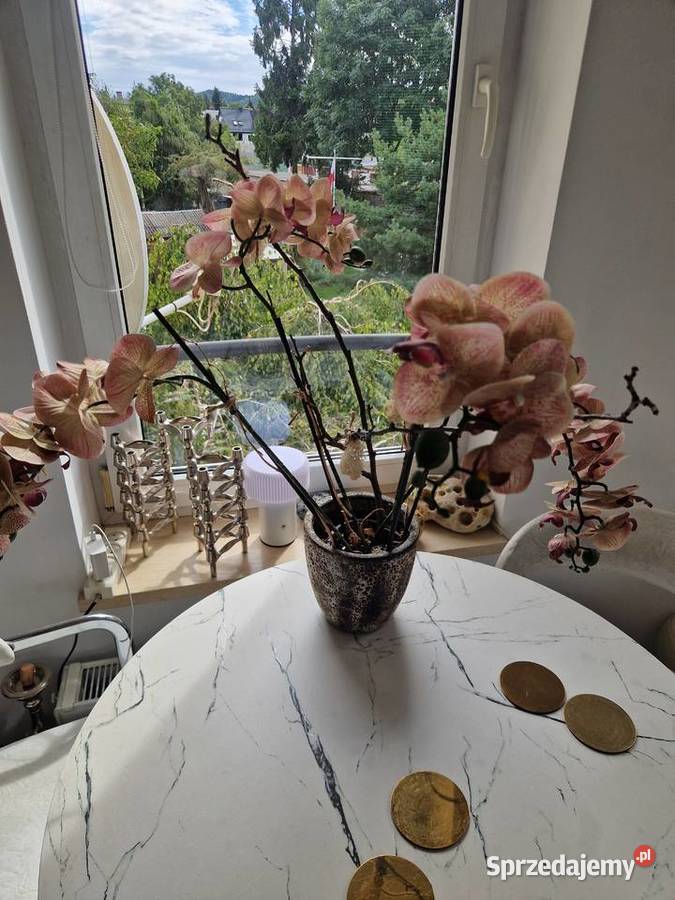 Apartament położony w centrum wsrod zieleni pomorskie
