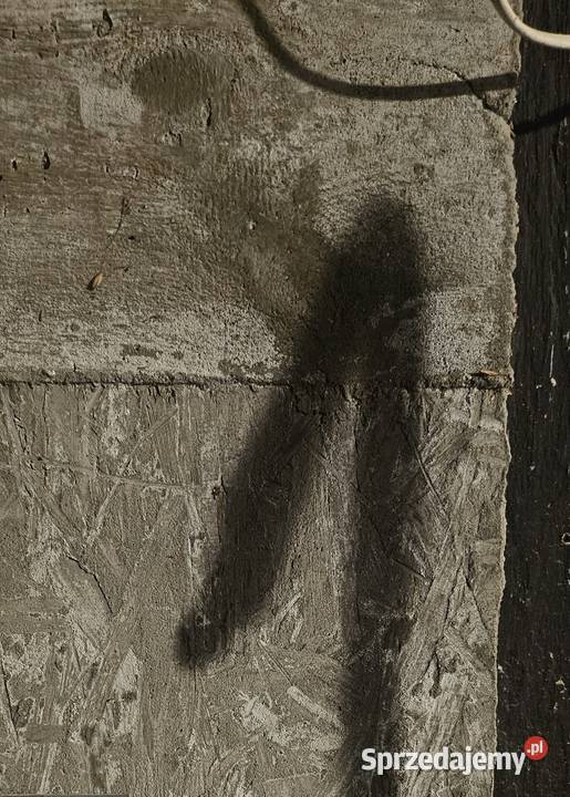 Laserowe bezinwazyjne czyszczenie drewna Łódź