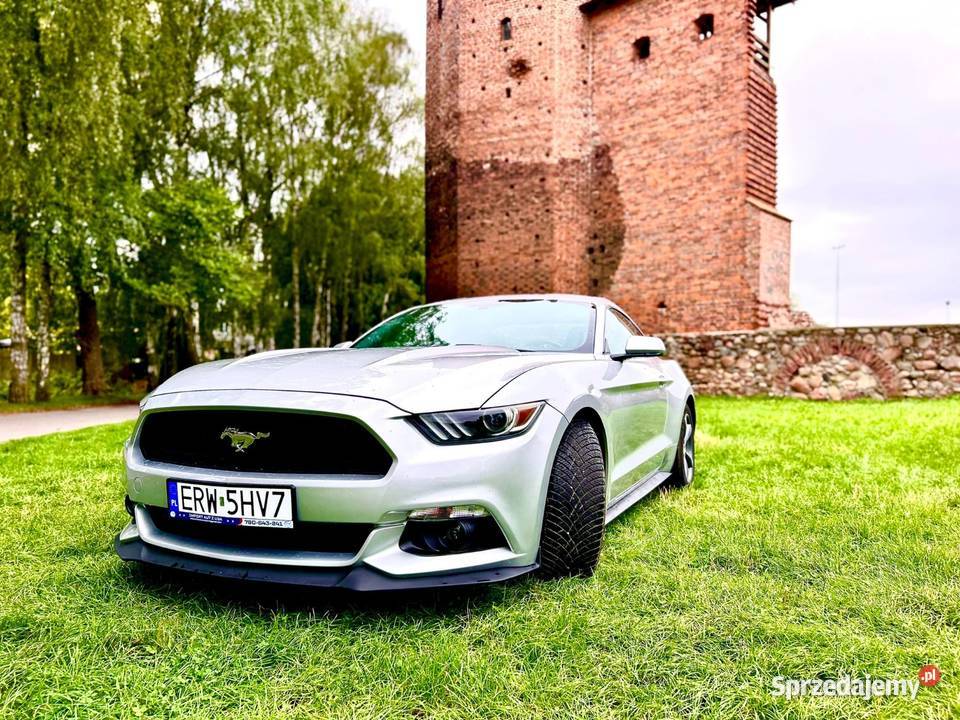 Mustang 37 2016 Skierniewice