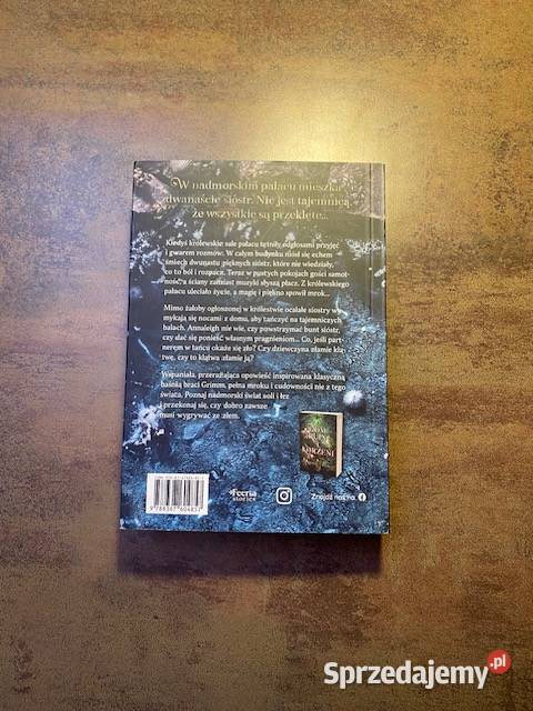 Erin A Craig Dom soli i łez