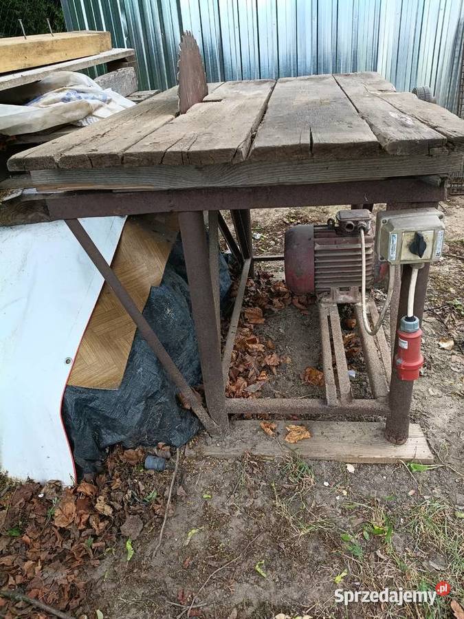 Krajzega do drzewa Piły stołowe Domanice-Kolonia