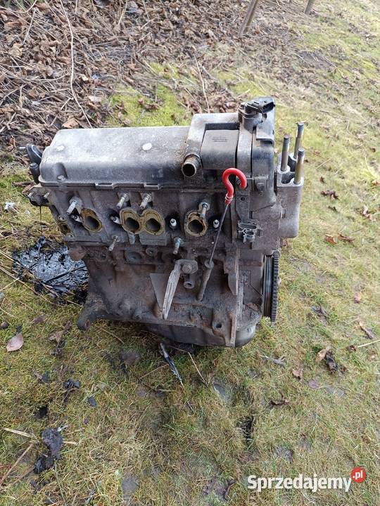 Silnik Fiat Panda 11 8v benzyna Bychawa