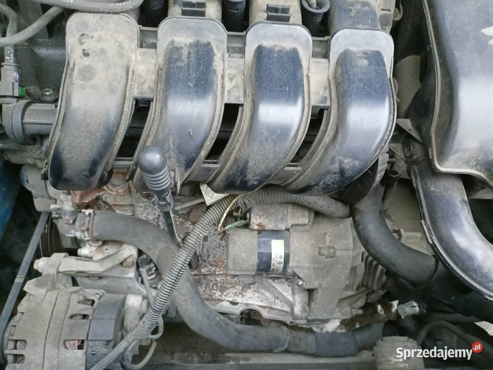 Renault Clio 2002 12 Benzyna Mycielin