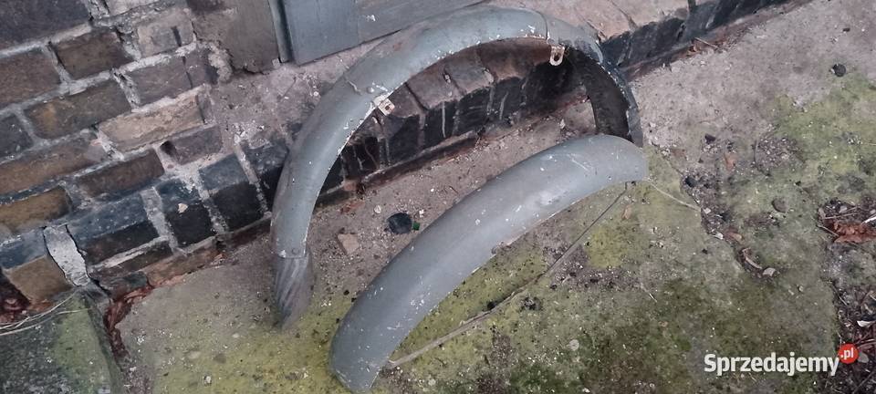 wsk kos gil bąk błotniki półki wielkopolskie Międzychód