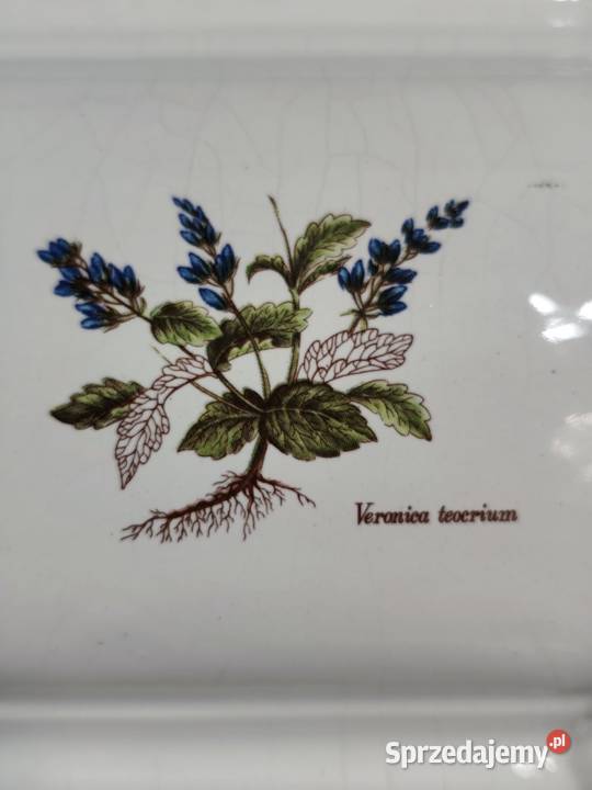 Unikatowa Osłonka Botaniczna Poole Pottery Seria Poddębice sprzedam