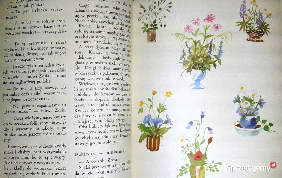 Razem ze słonkiem Lato 3 Maria Kownacka Chełm