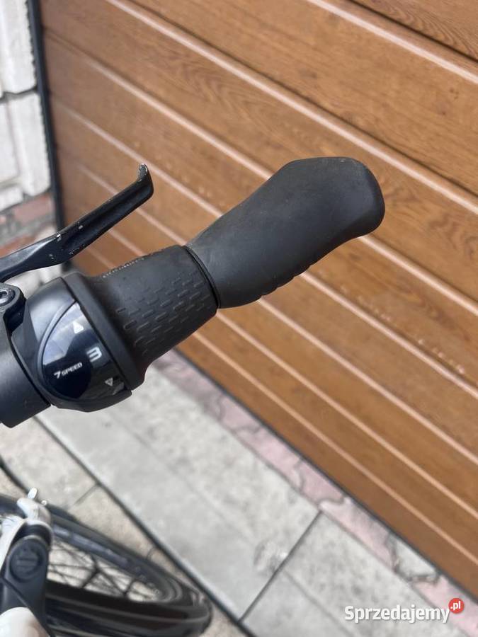 Rower Pegasus Solero SL