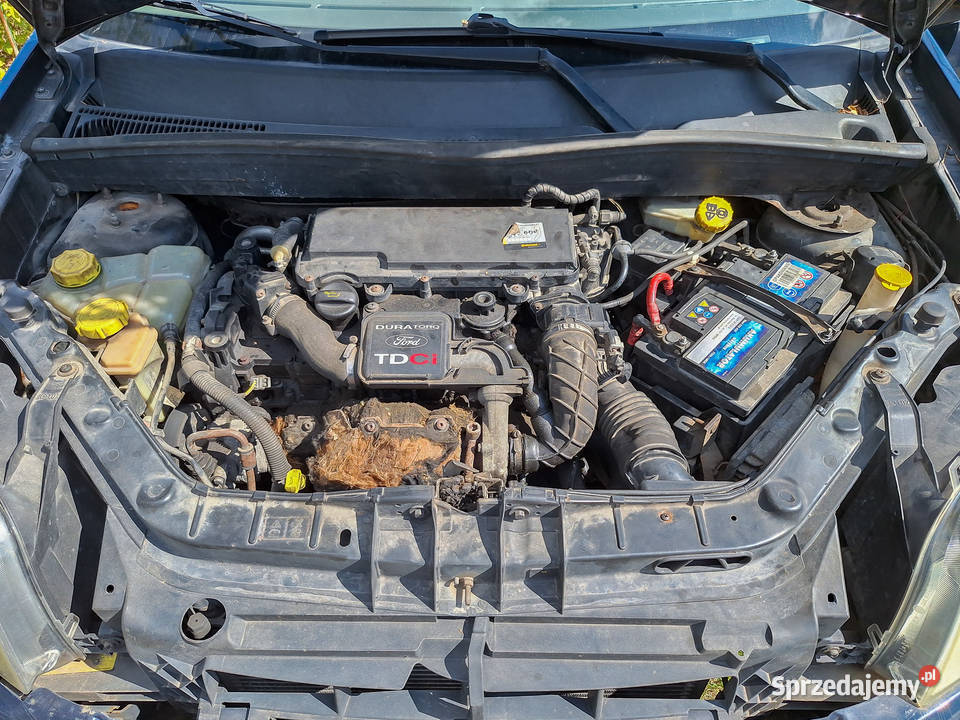 Ford Fusion 14 TDCi Ambiente 2004 Łask