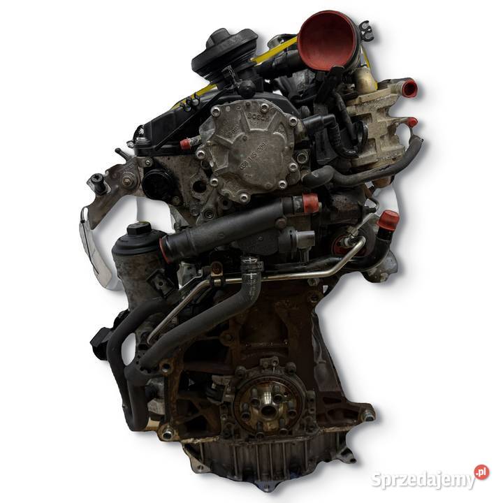 SILNIK BXE VW Golf V Jetta III Touran Passat B6 Chełm