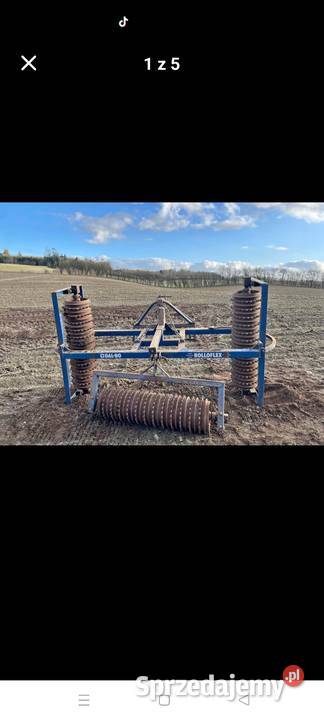 Wały dalbo posiewne piękne pomorskie Nowa Karczma